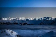 5000做什么期货，5000能买什么期货