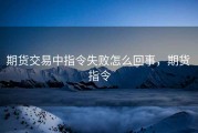 期货交易中指令失败怎么回事，期货 指令