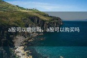 a股可以期货吗，a股可以购买吗