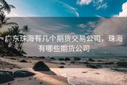广东珠海有几个期货交易公司，珠海有哪些期货公司