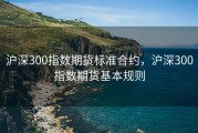 沪深300指数期货标准合约，沪深300指数期货基本规则