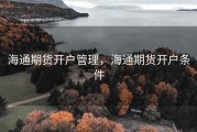 海通期货开户管理，海通期货开户条件