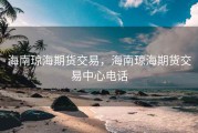 海南琼海期货交易，海南琼海期货交易中心电话