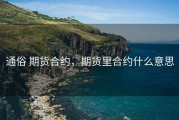 通俗 期货合约，期货里合约什么意思