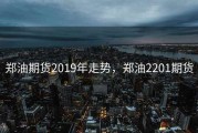 郑油期货2019年走势，郑油2201期货