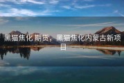 黑猫焦化 期货，黑猫焦化内蒙古新项目