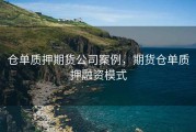 仓单质押期货公司案例，期货仓单质押融资模式