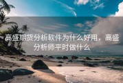 高盛期货分析软件为什么好用，高盛分析师平时做什么