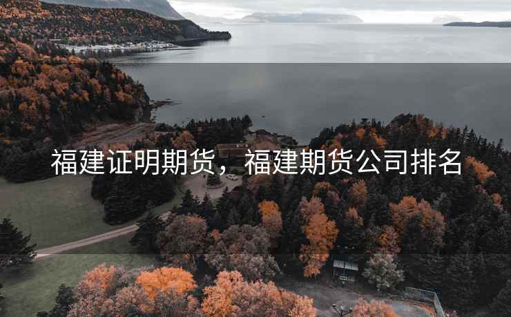 福建证明期货，福建期货公司排名
