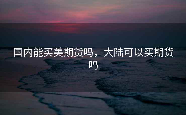 国内能买美期货吗，大陆可以买期货吗