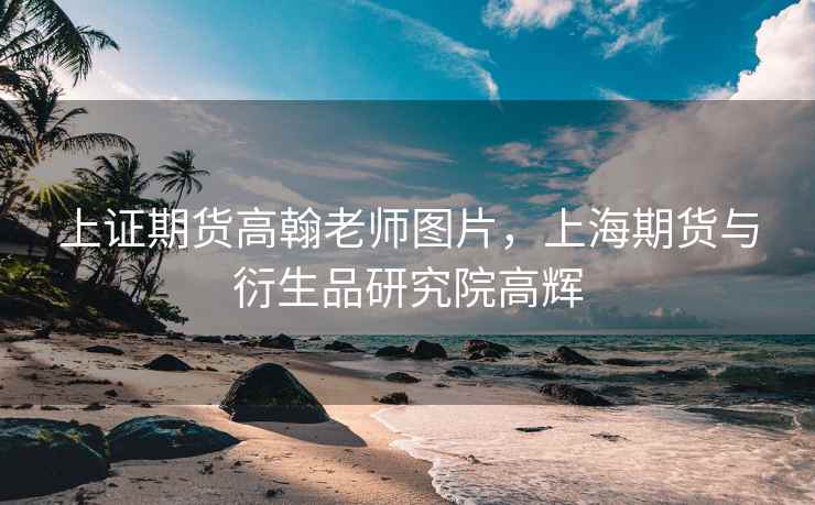 上证期货高翰老师图片，上海期货与衍生品研究院高辉