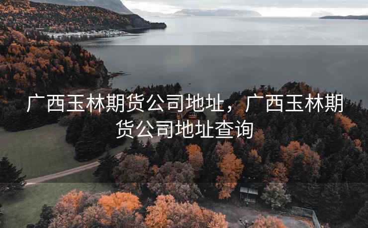 广西玉林期货公司地址，广西玉林期货公司地址查询
