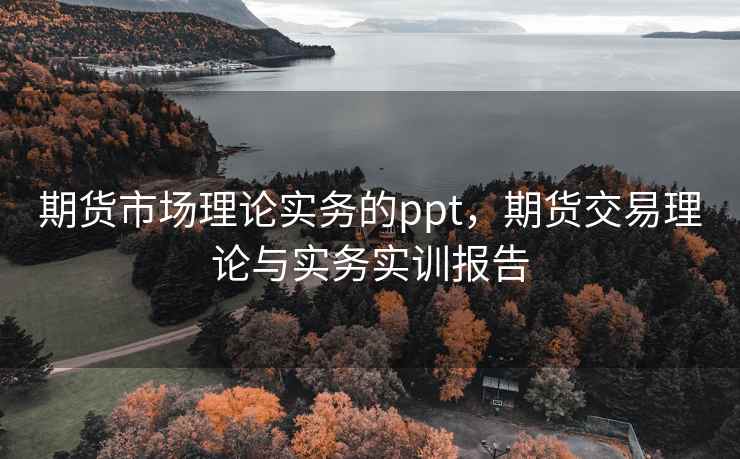 期货市场理论实务的ppt，期货交易理论与实务实训报告