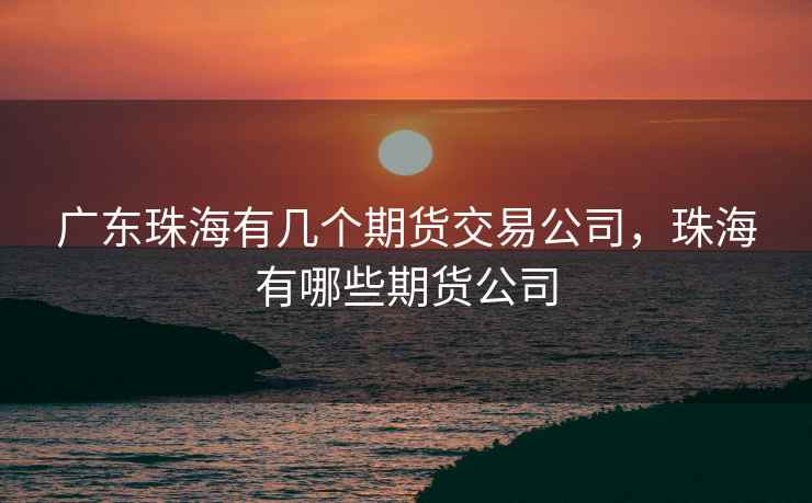 广东珠海有几个期货交易公司，珠海有哪些期货公司
